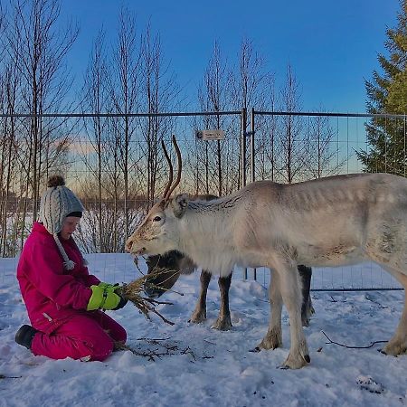 泰尔沃拉Beautiful Rural Experience With Reindeer别墅 外观 照片