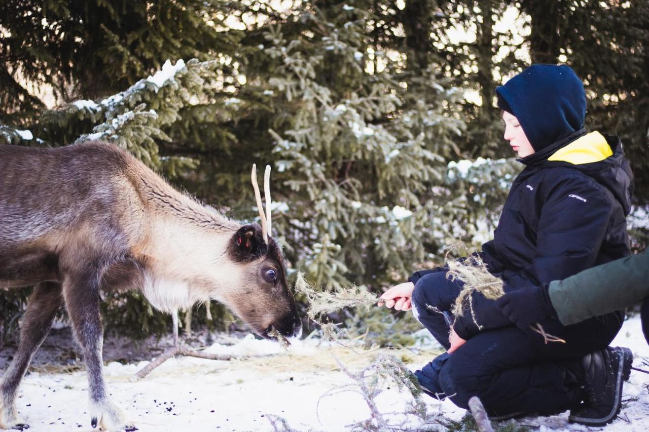 泰尔沃拉Beautiful Rural Experience With Reindeer别墅 外观 照片
