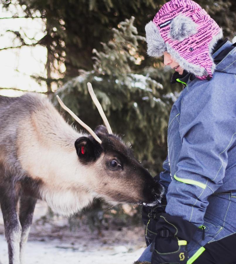 泰尔沃拉Beautiful Rural Experience With Reindeer别墅 外观 照片