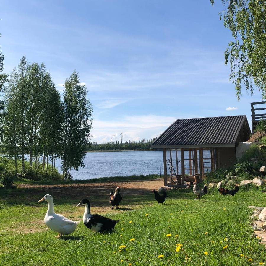 泰尔沃拉Beautiful Rural Experience With Reindeer别墅 外观 照片